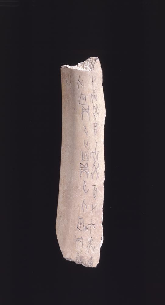 图片[2]-oracle-bone BM-OA+.180-China Archive